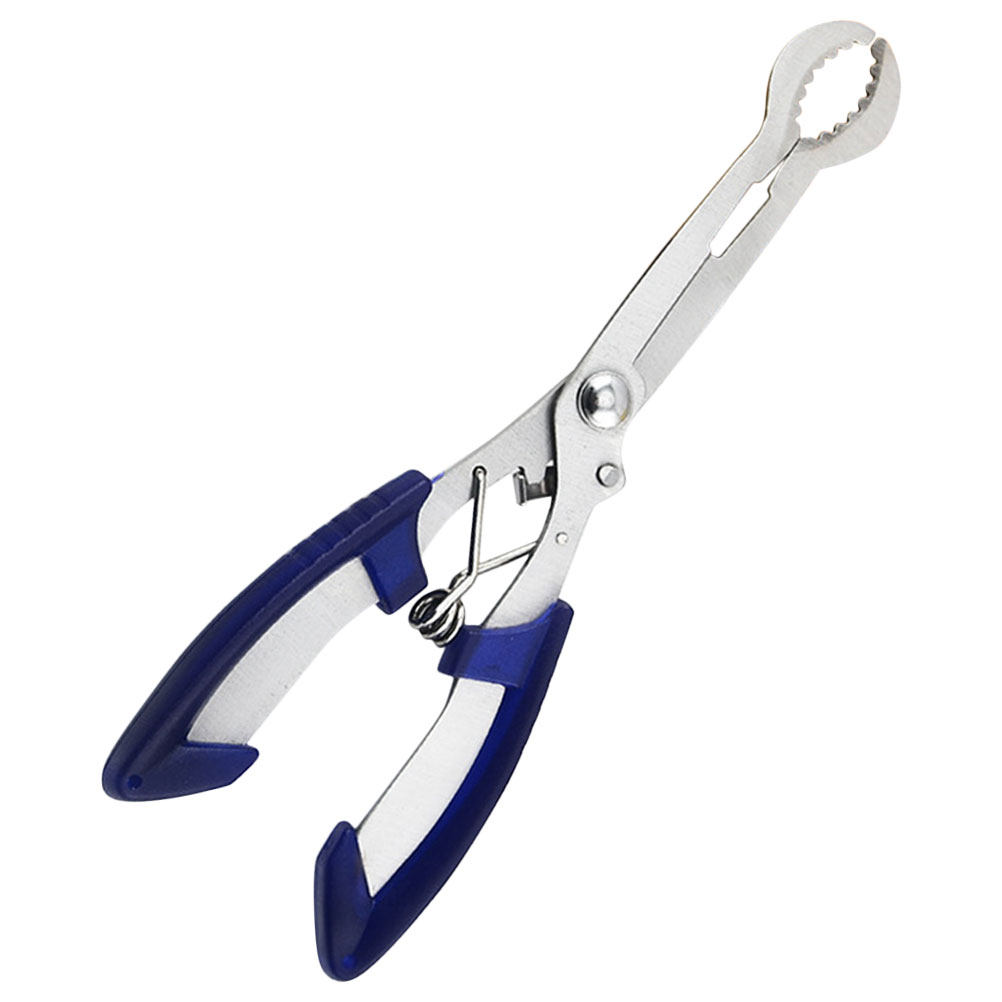 Paslanmaz Çelik Alıç Çekirdeği - Kitchen Gadgets & Toys incelemesi ve fiyatı