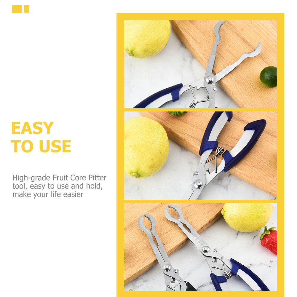 Paslanmaz Çelik Alıç Çekirdeği - Kitchen Gadgets & Toys incelemesi ve fiyatı