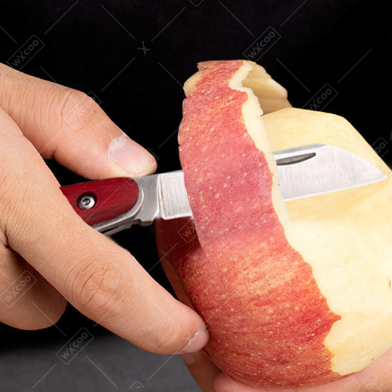 Paslanmaz Çelik Çakı Gül Ağacı - Kitchen Gadgets China incelemesi ve fiyatı